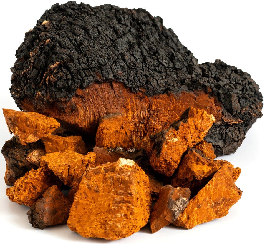 Image of a chaga mushroom in pieces
