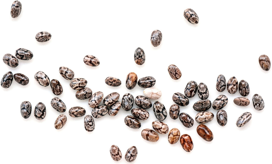 Chia Seeds in a pile on white background