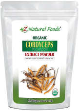Front of the 5 lb bag image of Cordyceps Extract Powder Organic