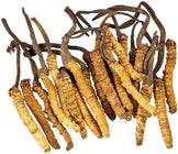 Image of a bunch of cordycep mushrooms