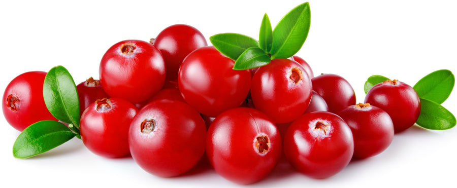 Image of a pile of fresh cranberries and green leaves