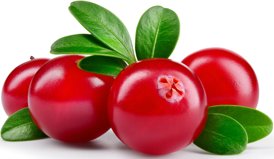 Image of four Cranberries on white background.