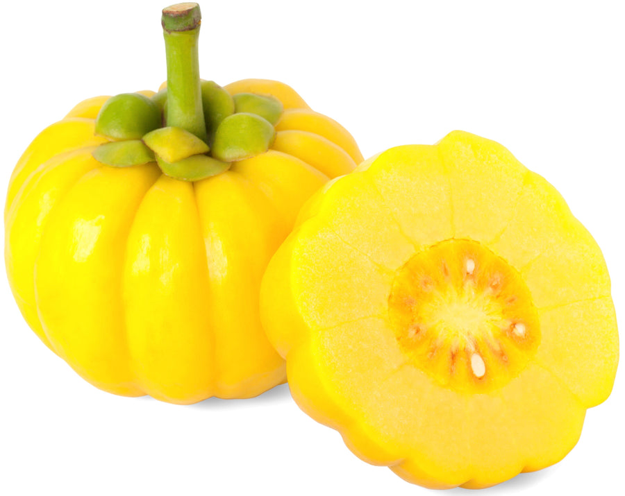 Image of a yellow Garcinia Cambogia fruit