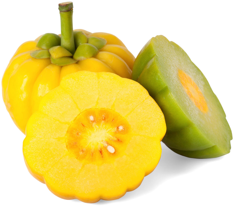 Image of a yellow Garcinia Cambogia fruit