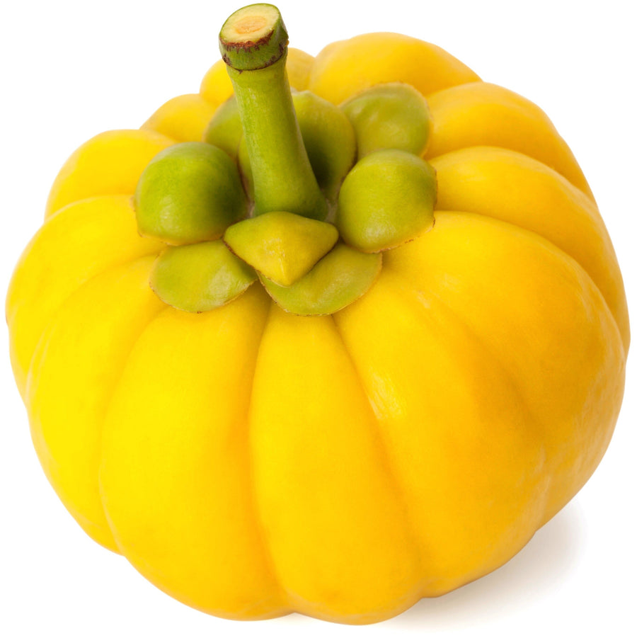 Image of a yellow Garcinia Cambogia fruit