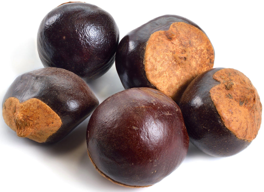 Image of 5 Guarana Seeds