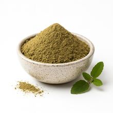 Bowl of organic holy basil (tulsi) powder with a small sprig of fresh basil on a white background.