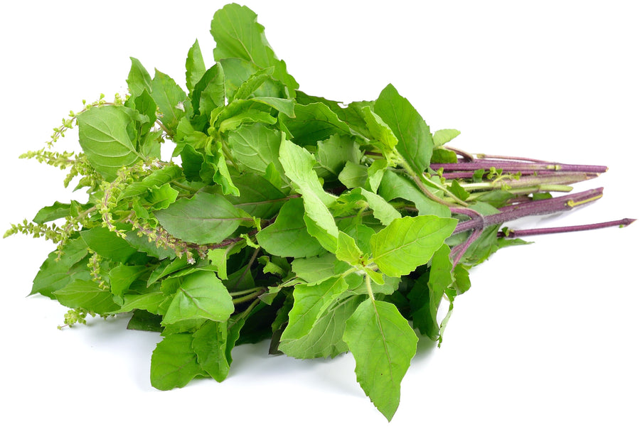 Image of a bunch of holy basil