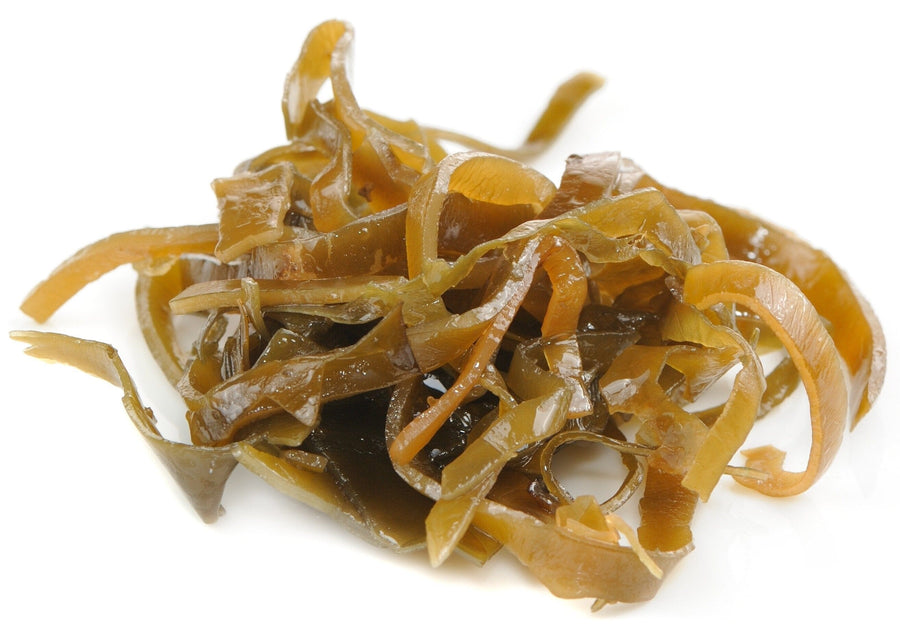 Image of fresh yellow Kelp (Rockweed) in a pile