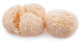 Image of 3 whole lions mane mushrooms