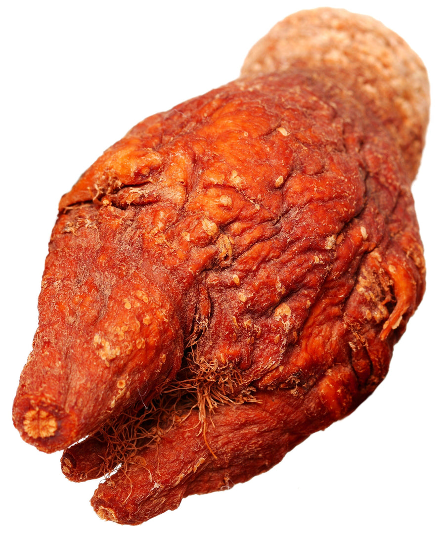 Closeup image of dried red Maca Root on white background