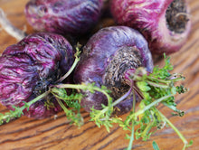 Image of four red Maca Roots with stem and leaves on wooden tabletop.