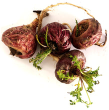 Image of four Maca Roots with stems and leaves on white background.