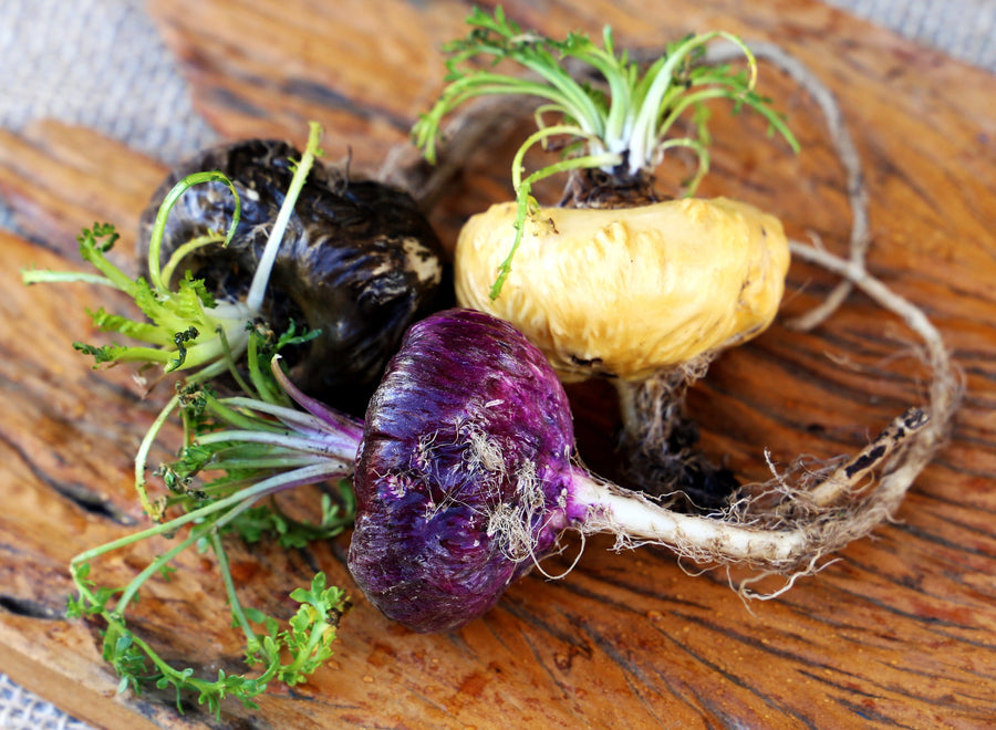 Image of freshly harvested red, black, and yellow Maca Root on wooden cutting board