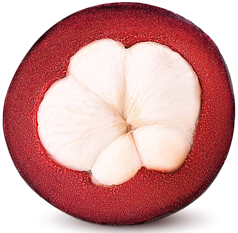 Image of half a fresh purple Mangosteen Fruit showing its white interior