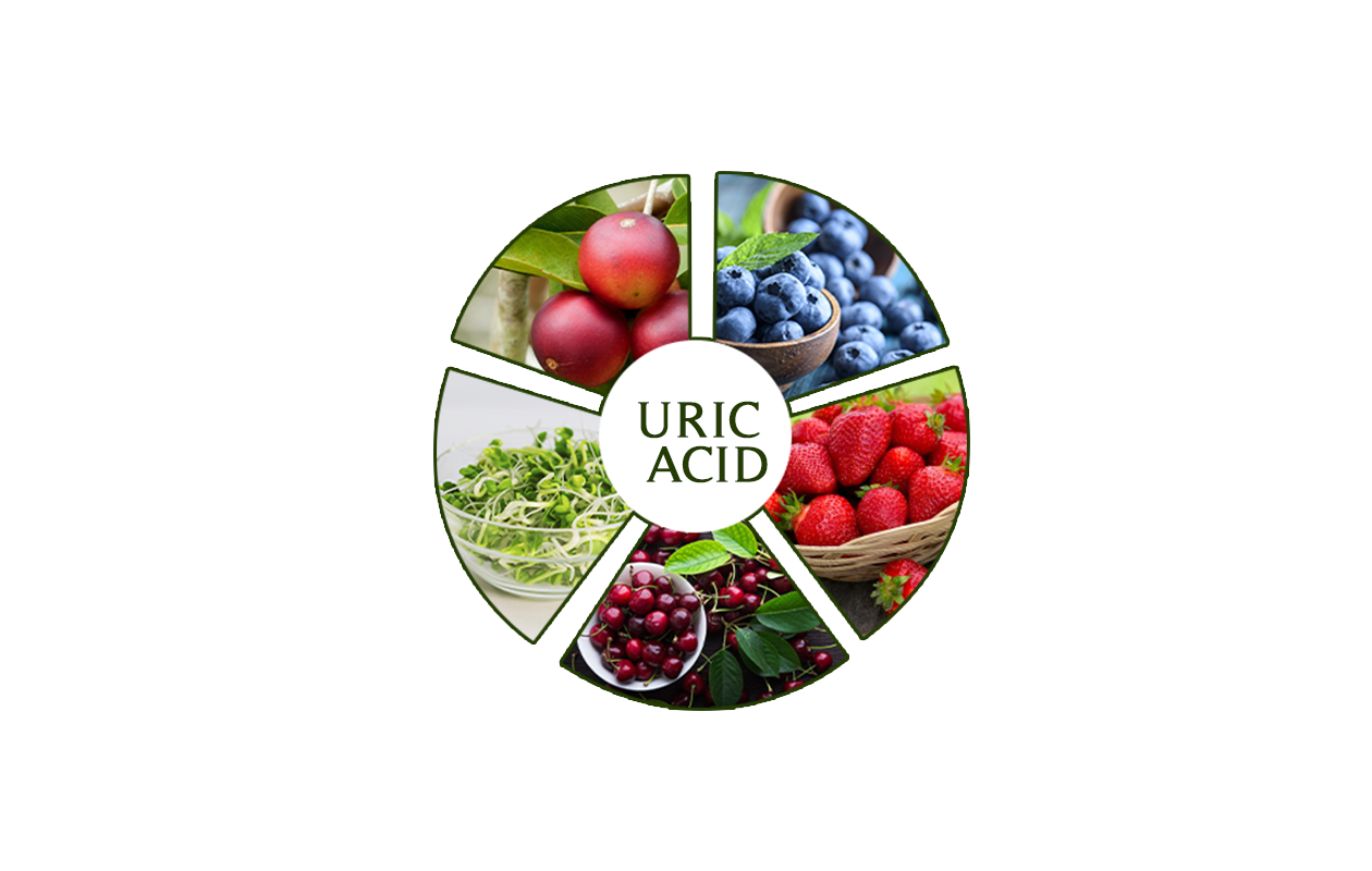 Photo saying Uric Acid and showing several fruits that may be beneficial 