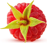 Top facing Raspberry with stem and leaves on white background.