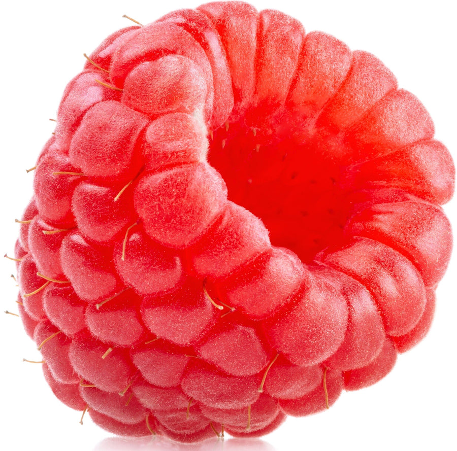 close up image of 1 Red Raspberry on white background
