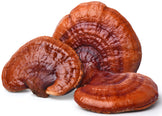 Image of three Red Reishi Mushroom pieces on white background.