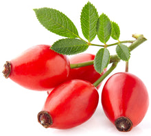 Rose Hip berries on white background with green stem