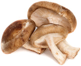 Image of 3 fresh Shiitake Mushrooms