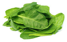 Spinach leaf's piled together on white background