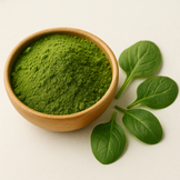 Green Powder in a bowl with spinach leaves next to it.