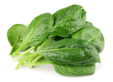Spinach leaf's piled together on white background