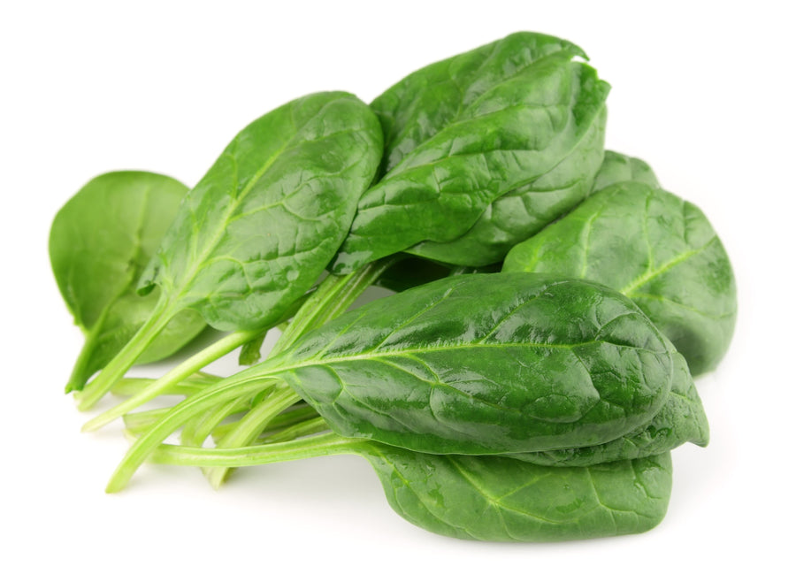 Spinach leaf's piled together on white background