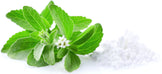 Photo of Stevia Extract Powder (Debittered) next to fresh stevia plant leaves