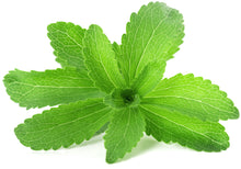 Stevia leaves on white background