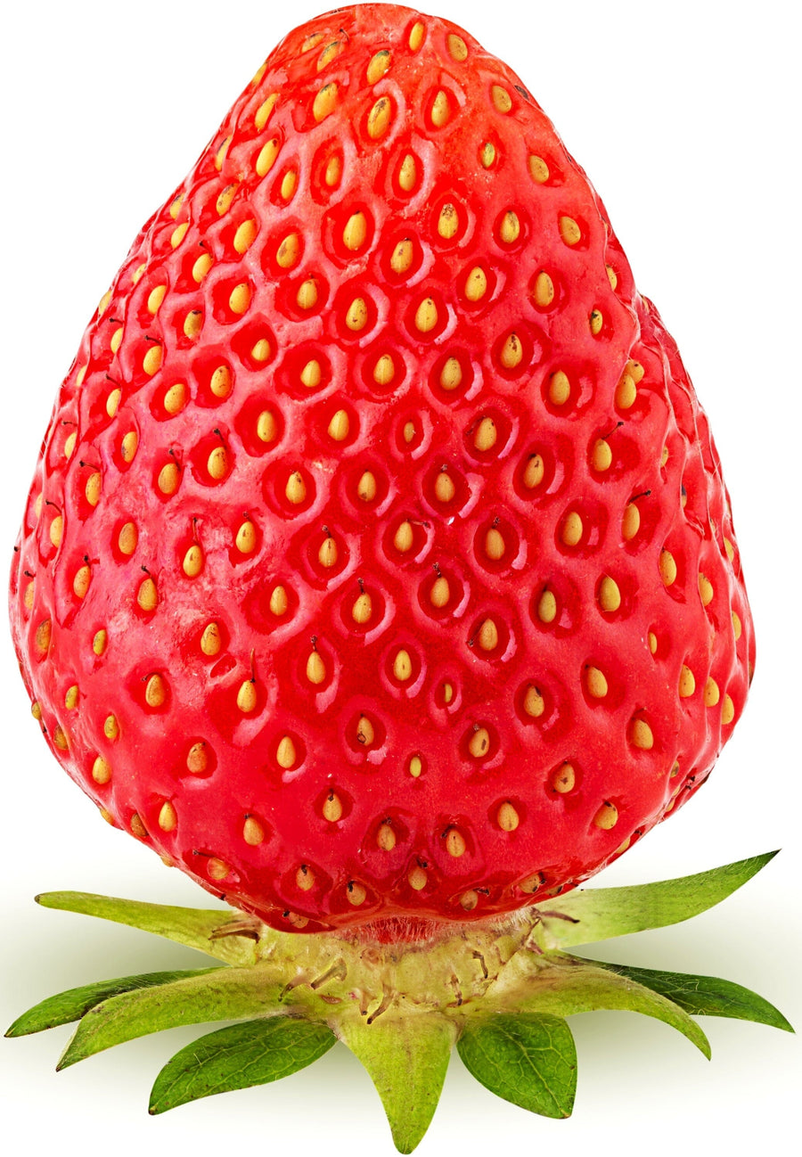 Image of a bright red fresh strawberry