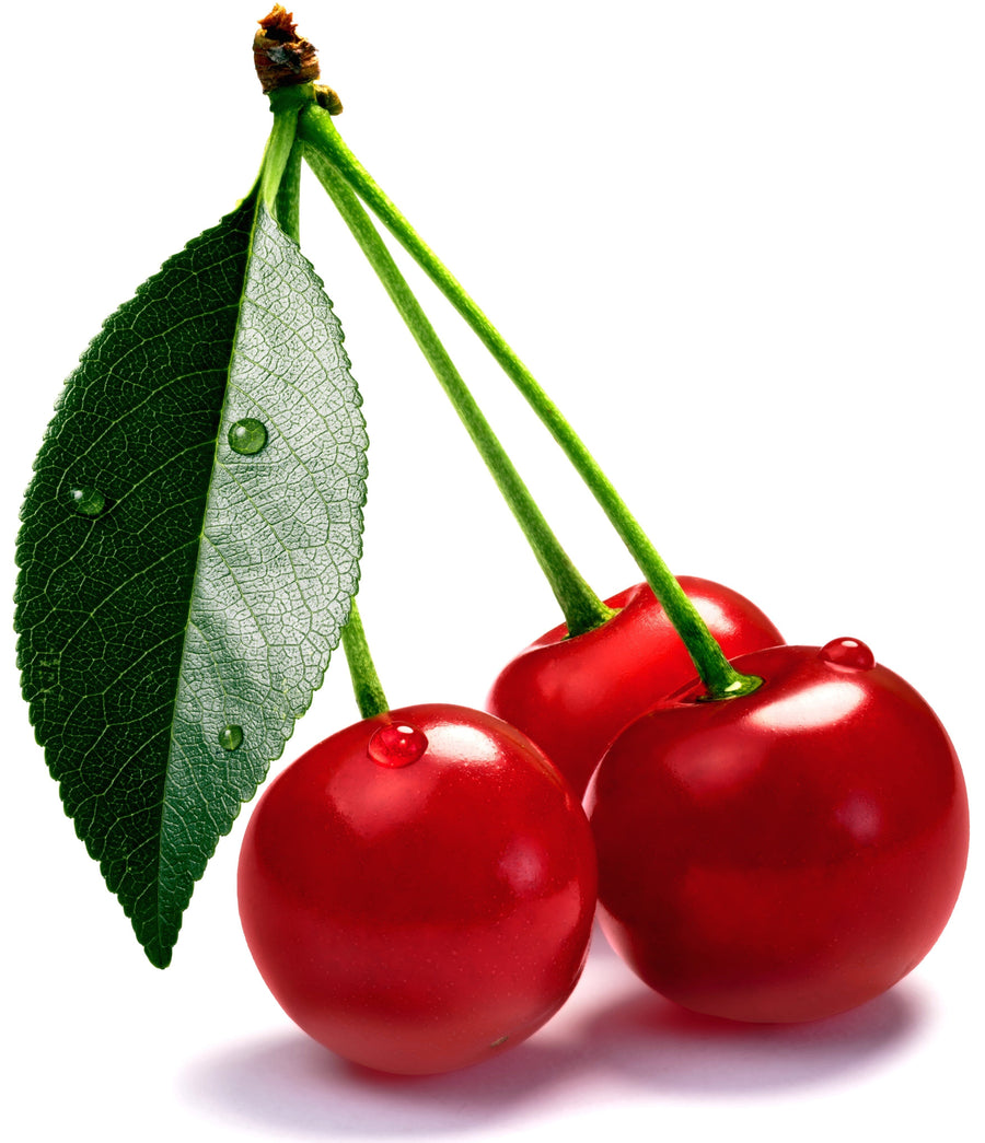 3 cherries one vine with green leaf