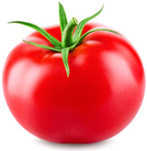 Single Tomato with green stem on white background