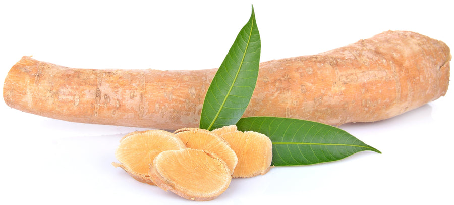 Tongkat Ali Root sliced with 2 green leave between longer root
