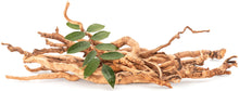 Tongkat Ali Roots on white background with green leaves