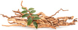 Tongkat Ali Roots on white background with green leaves