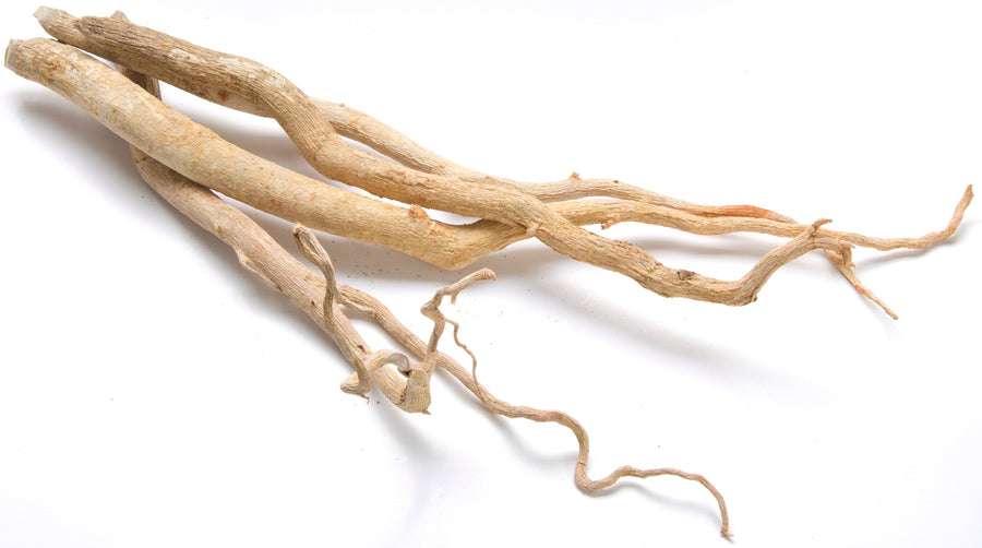 Photo of cut Tongkat Ali Root laying down on white background
