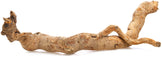 Tongkat Ali Root on white background