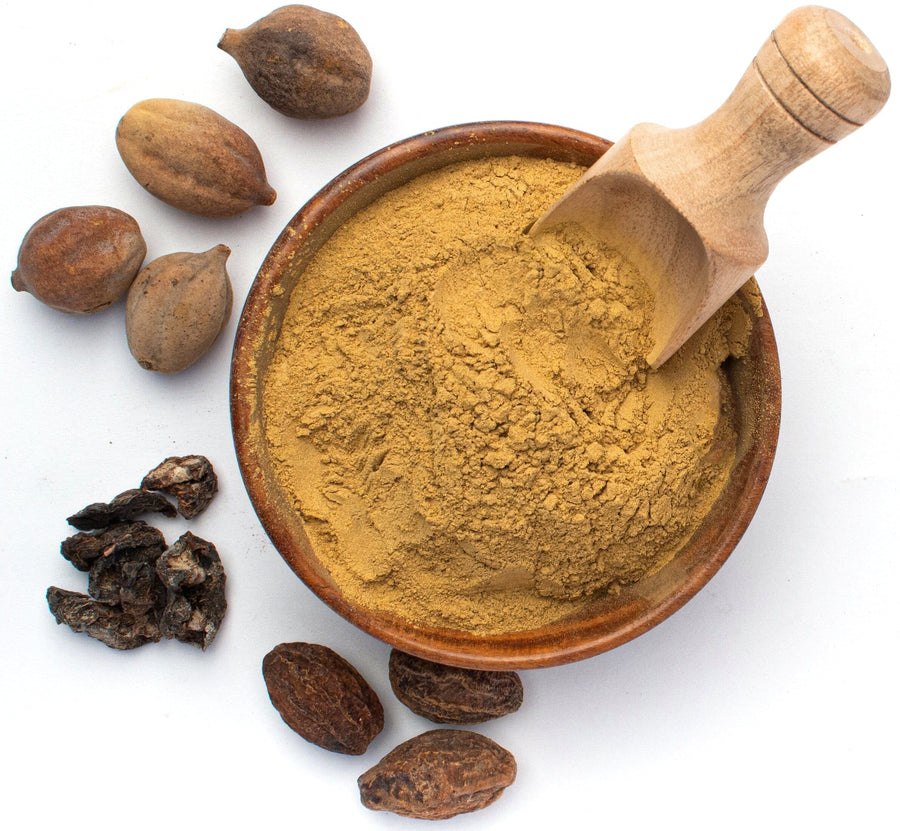 Closeup image of bowl containing Triphala powder with actual whole raw fruits used in making Triphala next to it Amla, Harada, and Behada