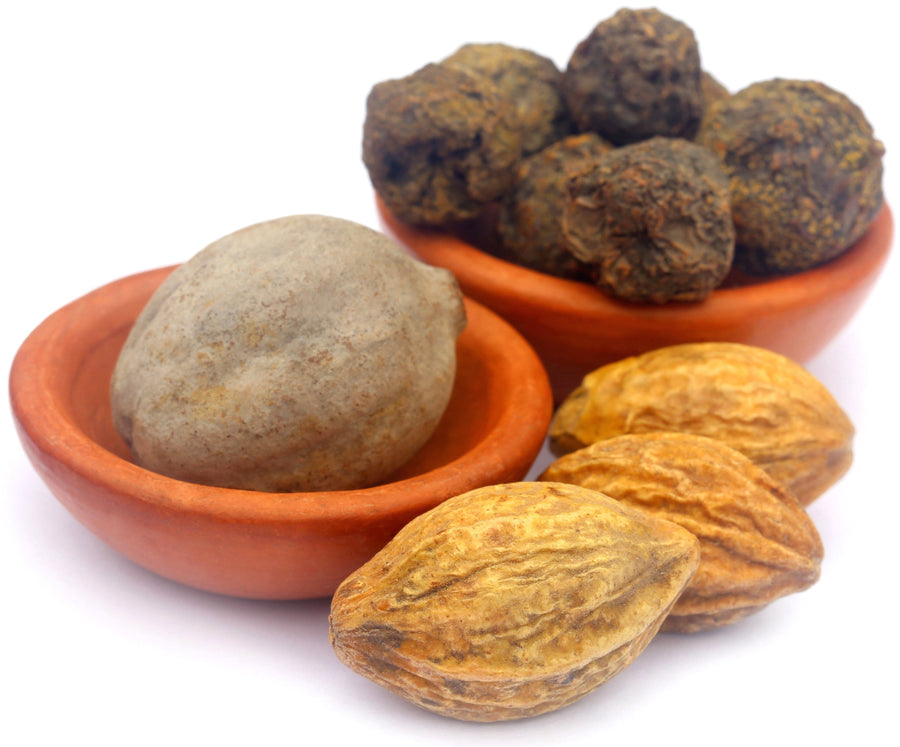 Closeup image of actual whole raw fruits used in making Triphala, Amla, Harada, and Behada