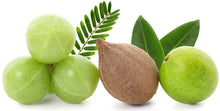 Closeup image of actual whole raw fruits used in making Triphala, Amla, Harada, and Behada