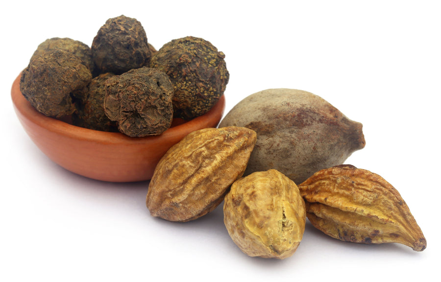 Closeup image of actual whole raw fruits used in making Triphala, Amla, Harada, and Behada