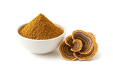 White bowl full of orange , brownish extract powder. A Whole Turkey Tail mushroom next to the bowl.