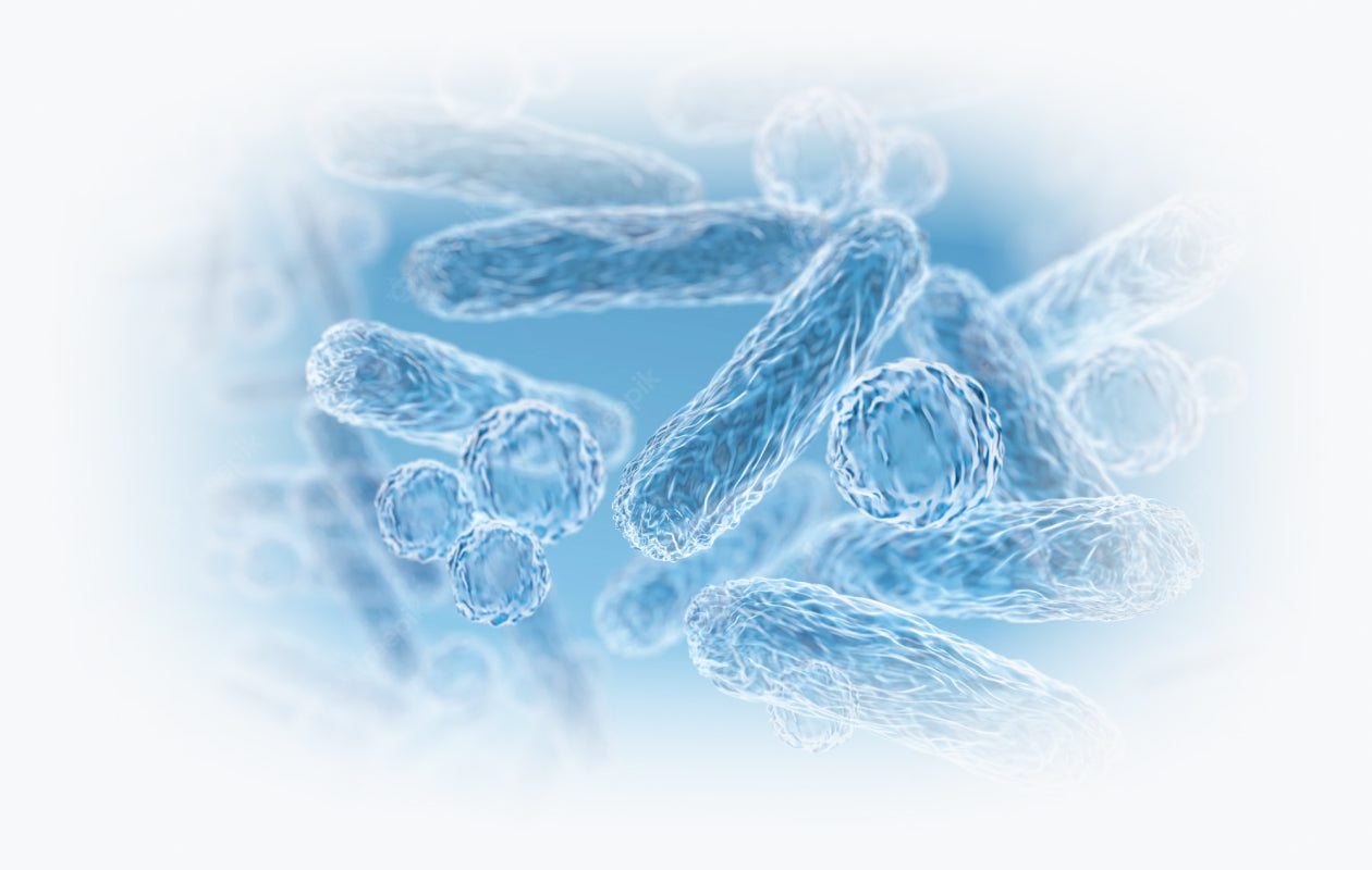 Microscopic Image of blue bacteria