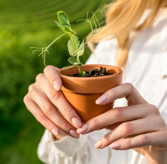 Image of a woman holding a pot with a plant