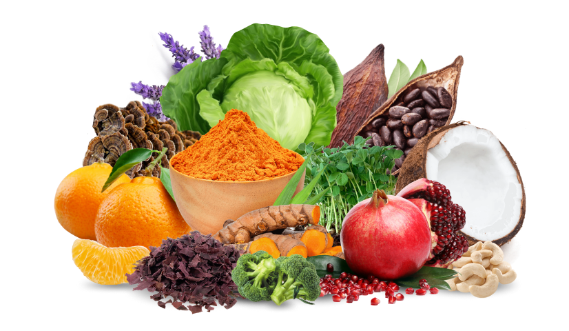 Image of various fruits, vegetables, and roots used in Z Natural Food Products, including oranges, turmeric, and pomegranate.